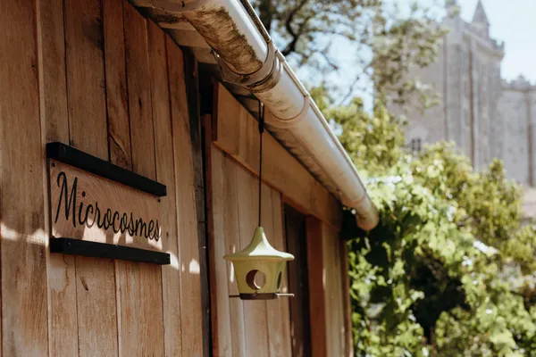 Fabriquez votre nichoir à oiseaux en bois nobles et locaux avec Cassandre - Image n°5 - Wecandoo