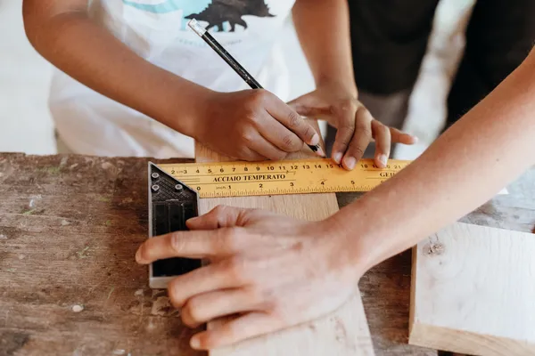Fabriquez votre nichoir à oiseaux en bois nobles et locaux avec Cassandre - Image n°2 - Wecandoo