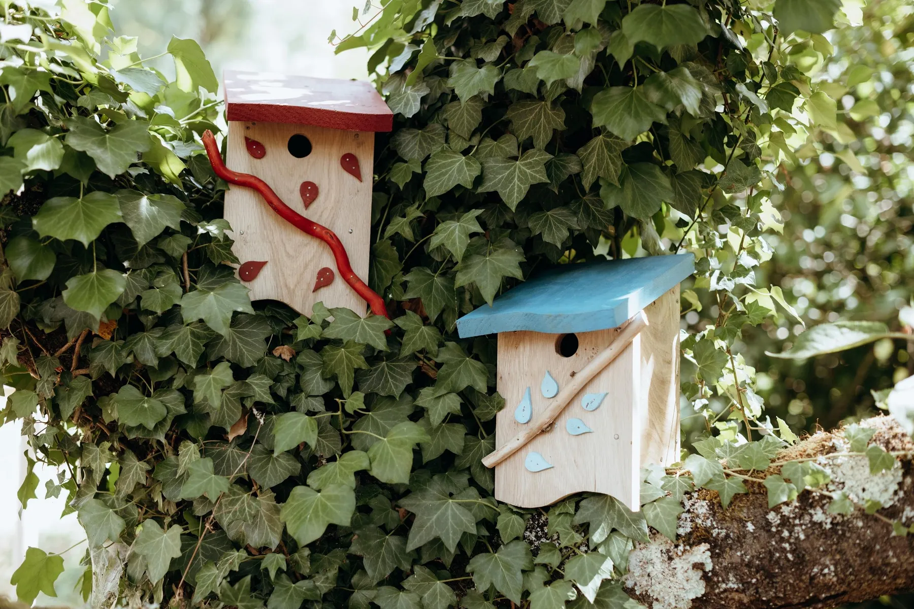 Fabriquez votre nichoir à oiseaux en bois nobles et locaux avec Cassandre - Image n°1 - Wecandoo