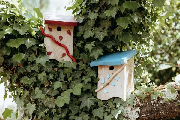 Fabriquez votre nichoir à oiseaux en bois à Poitiers