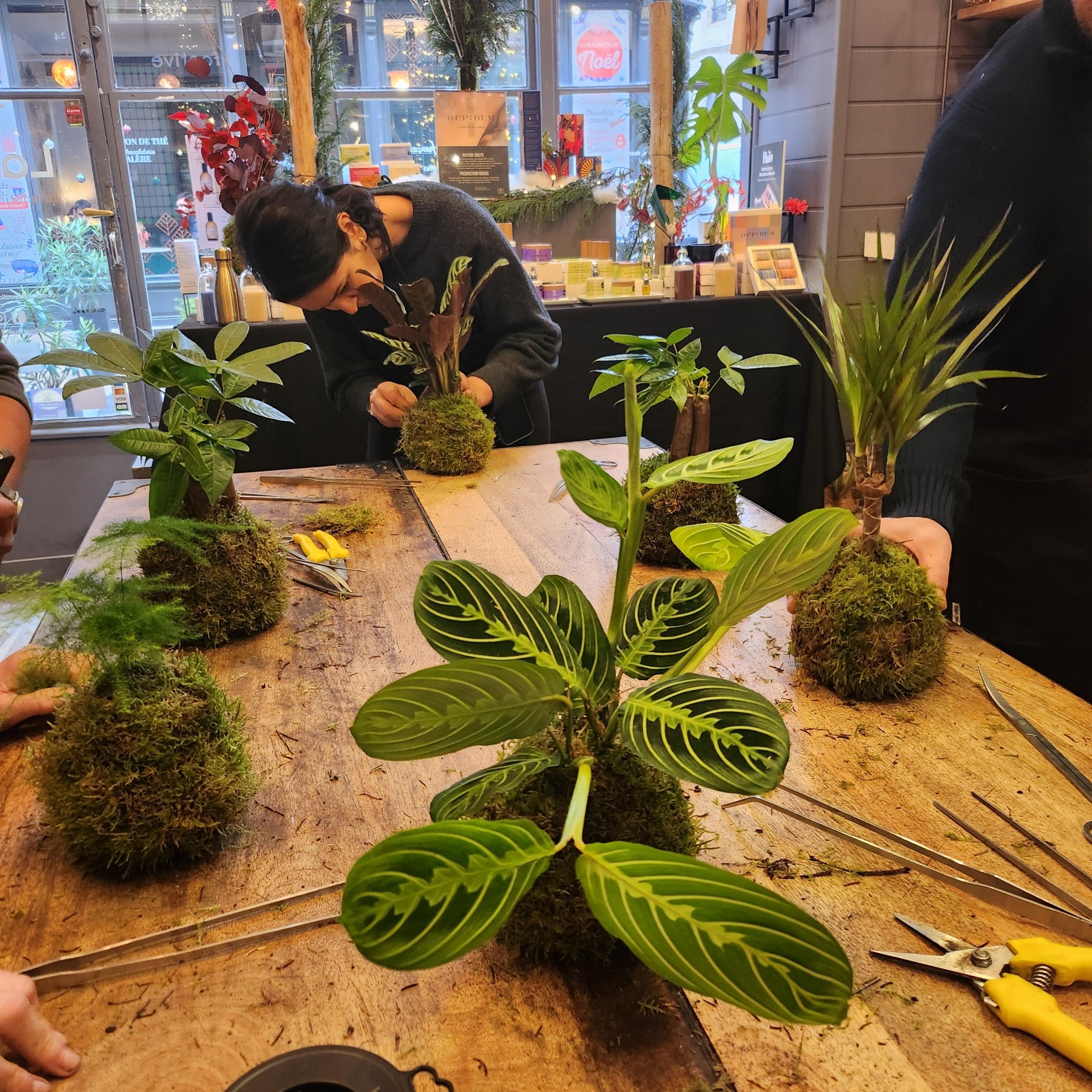 Créez votre kokedama avec David et Pierre - Image n°4 - Wecandoo