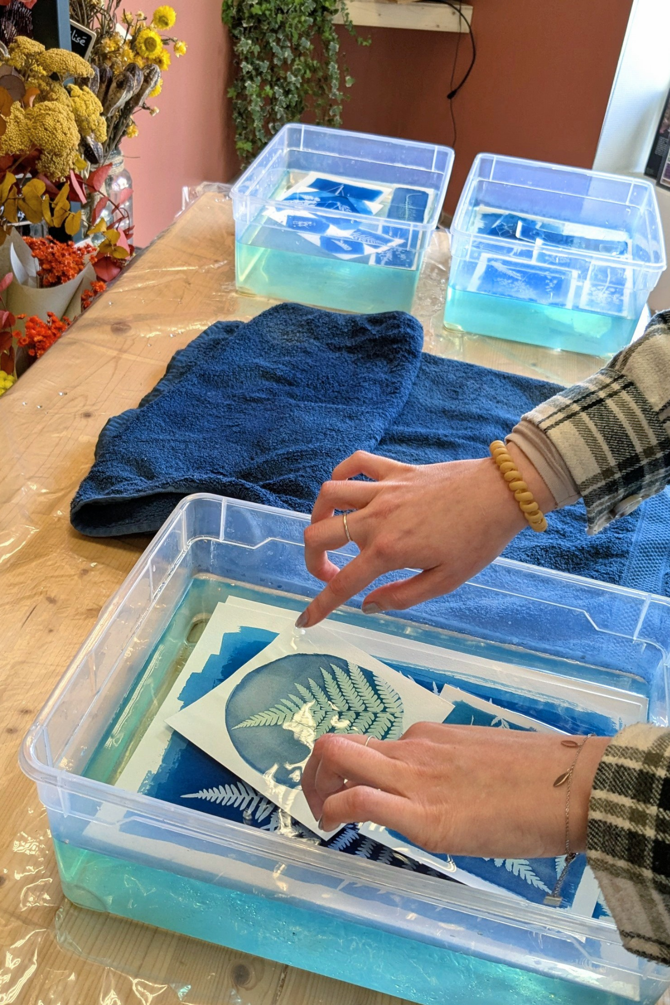 Initiez-vous au cyanotype sur papier - Image n°7 - Wecandoo