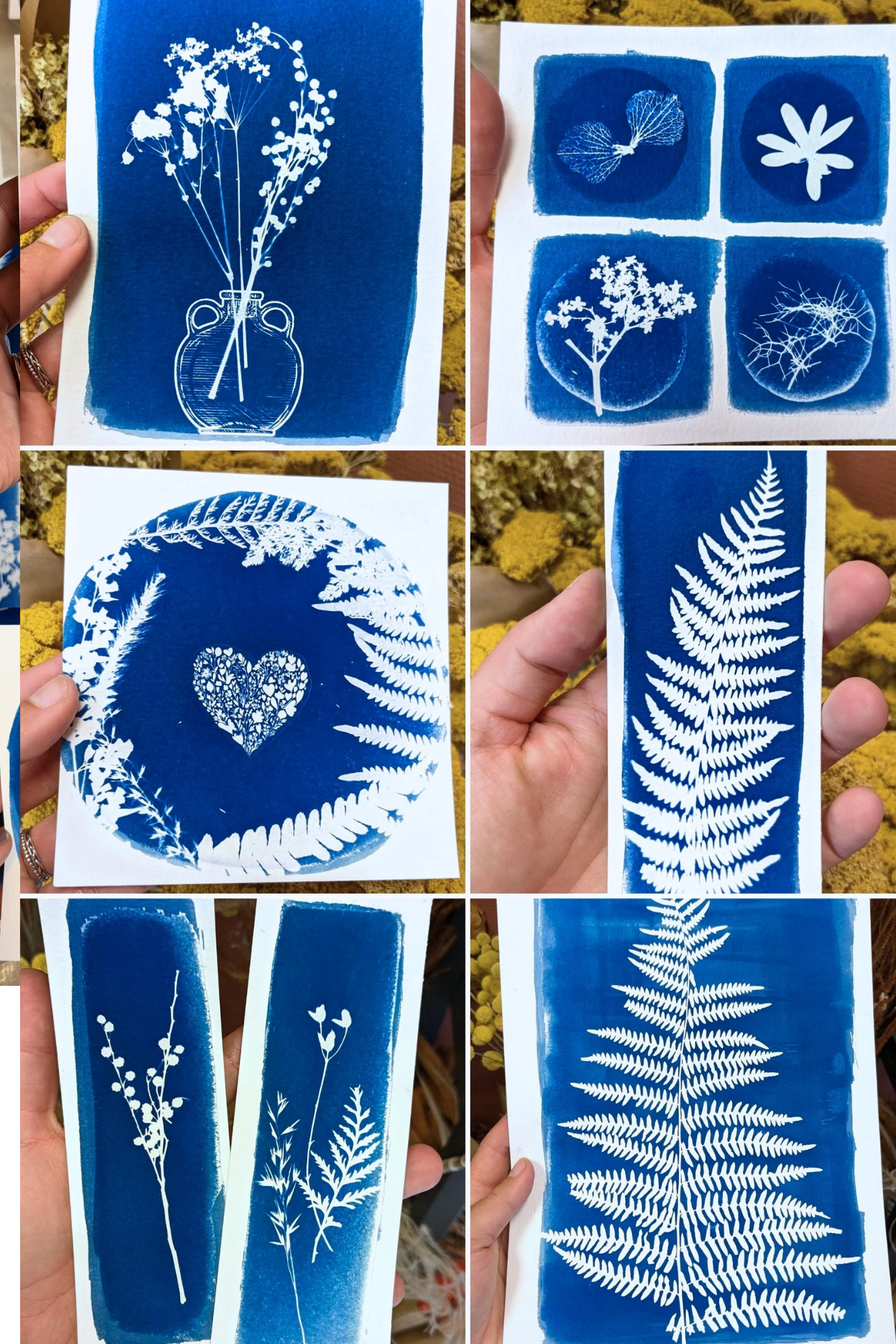 Initiez-vous au cyanotype sur papier - Image n°10 - Wecandoo