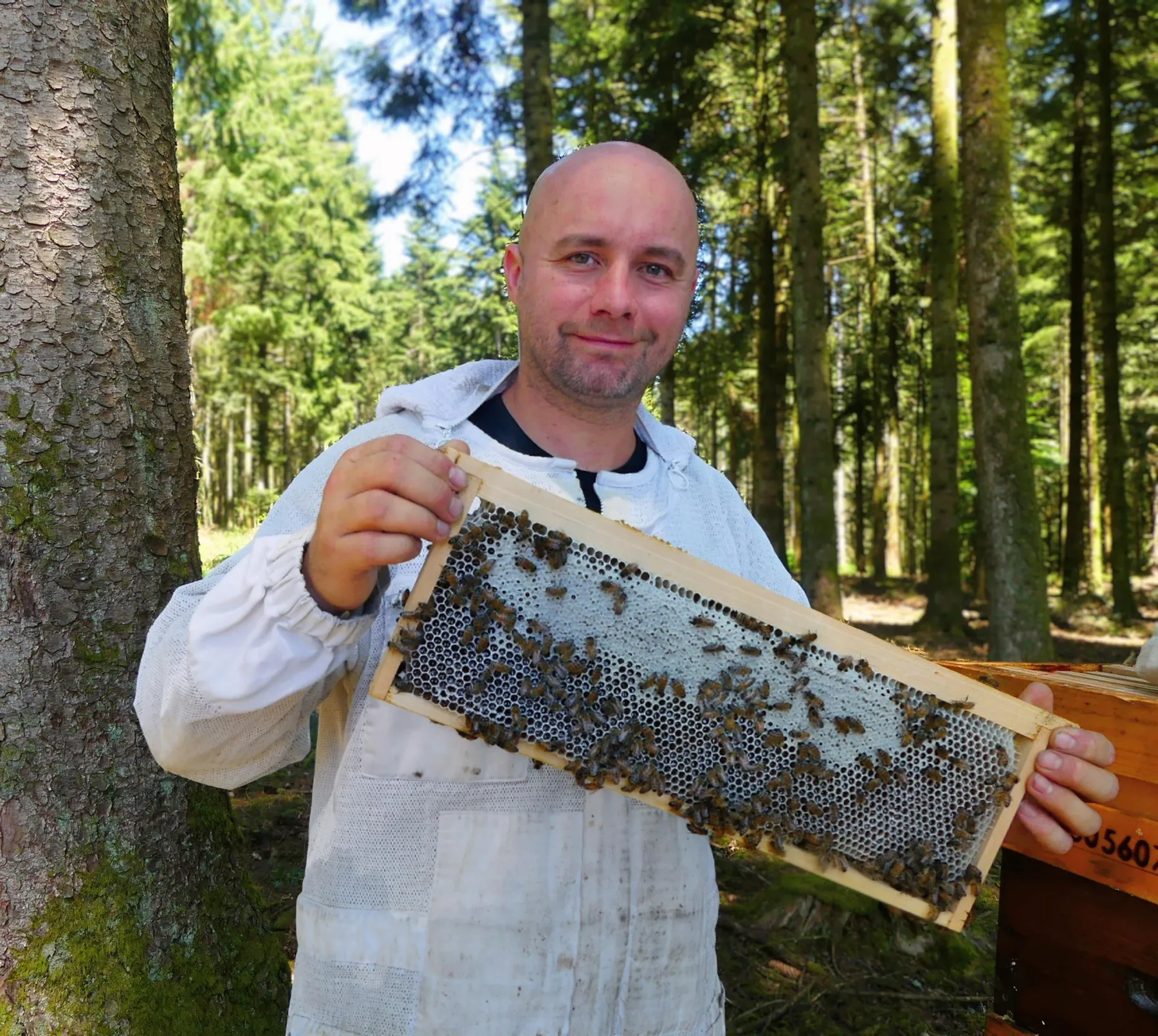 Découvrez l'univers de l'apiculture - Image n°1 - Wecandoo