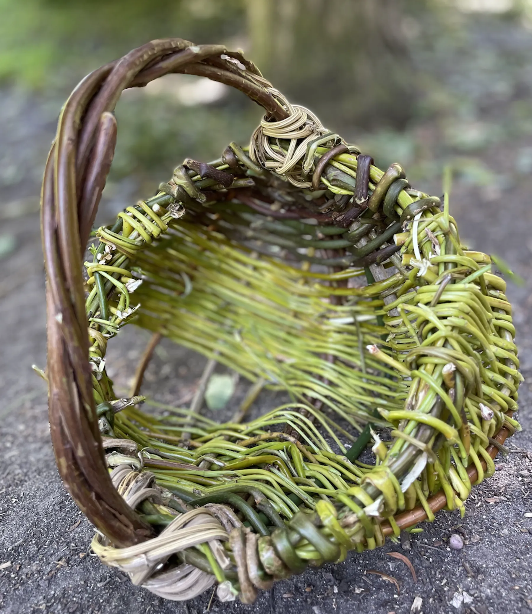 Initiez-vous à la vannerie sauvage avec Valentine - Image n°4 - Wecandoo