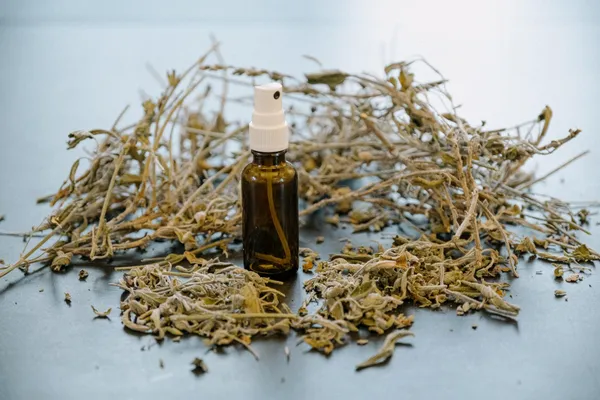 Découvrez les hydrolats et fabriquez le vôtre avec Virginie - Image n°4 - Wecandoo