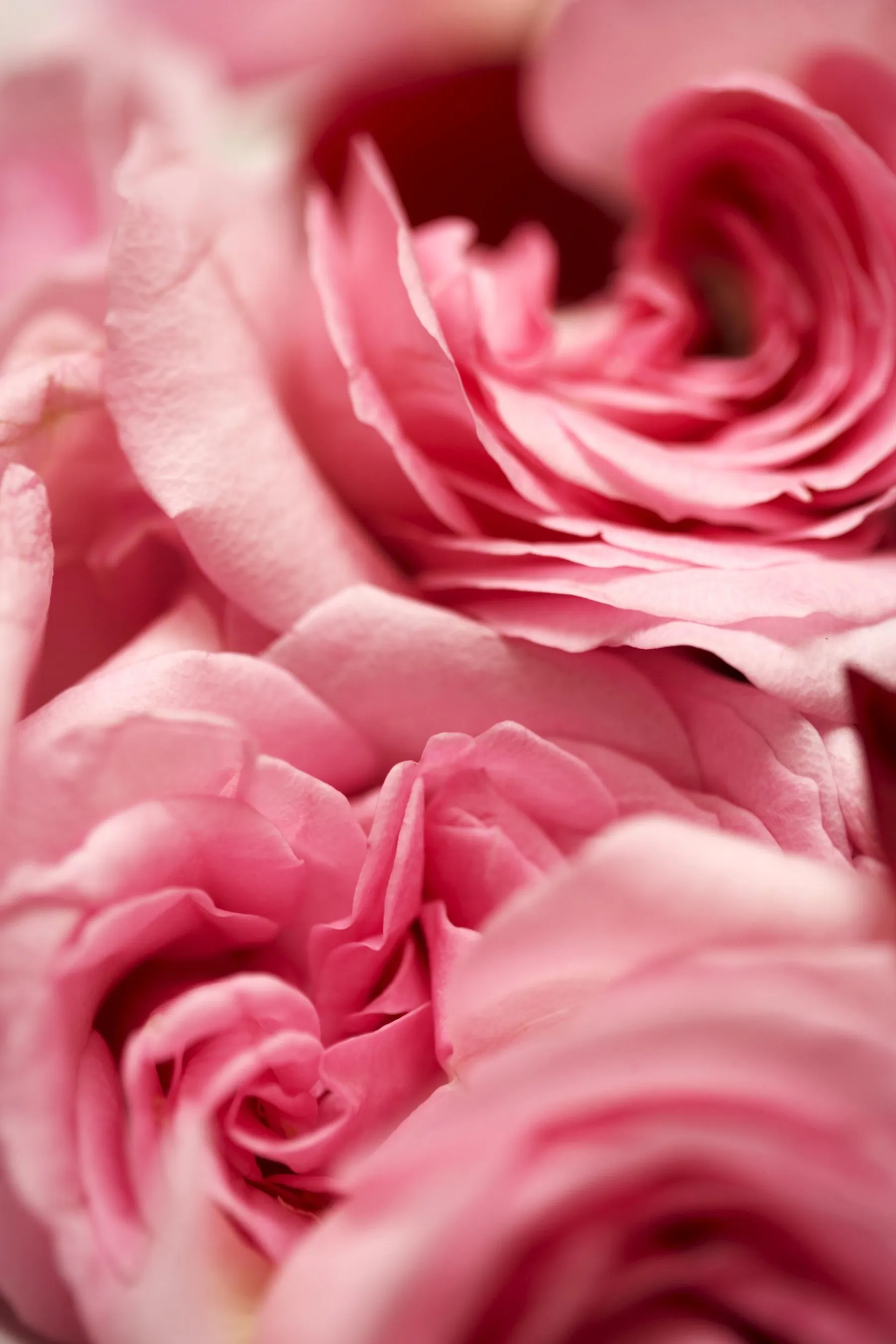 Découvrez le métier de "Nez" - Image n°2 - Wecandoo