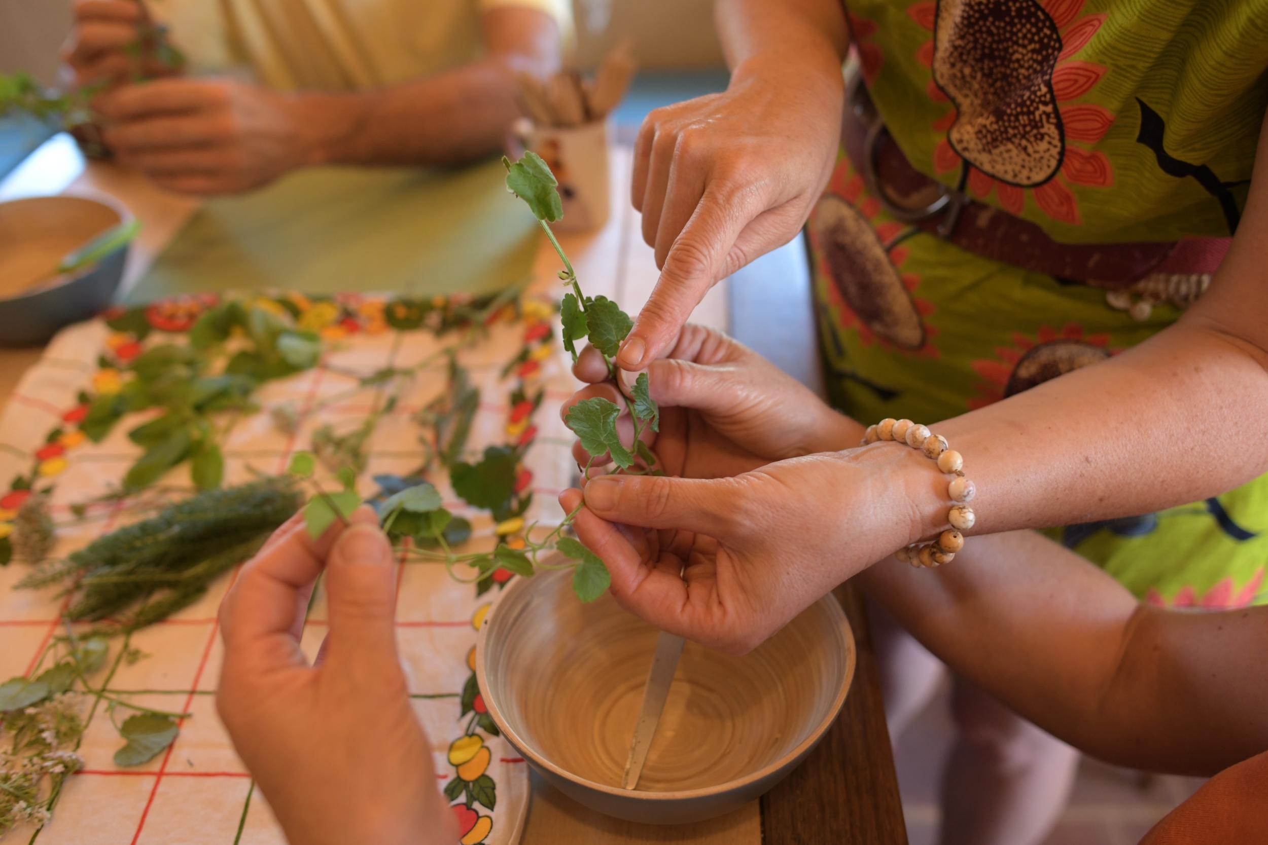 Découvrez les plantes sauvages comestibles en balade avec Isabelle - Image n°6 - Wecandoo