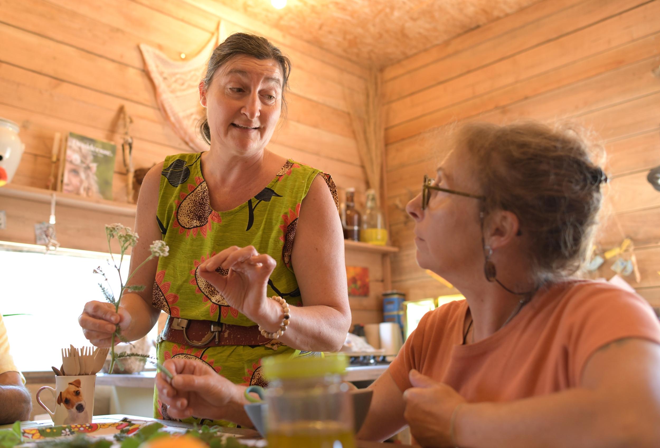 Cuisinez un repas complet à base de plantes sauvages avec Isabelle - Image n°7 - Wecandoo