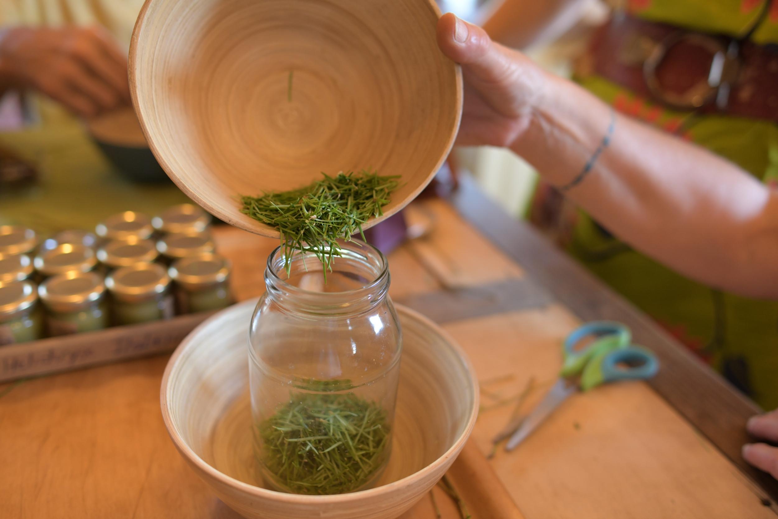 Cuisinez un repas complet à base de plantes sauvages avec Isabelle - Image n°6 - Wecandoo