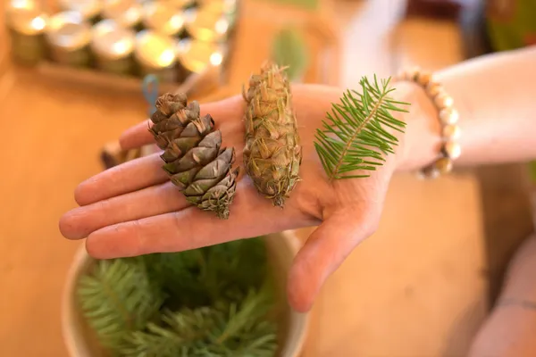 Découvrez les plantes sauvages comestibles en balade avec Isabelle - Image n°2 - Wecandoo