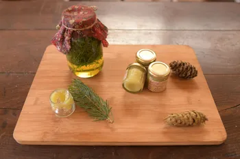 Créez votre baume naturel à base de plantes locales