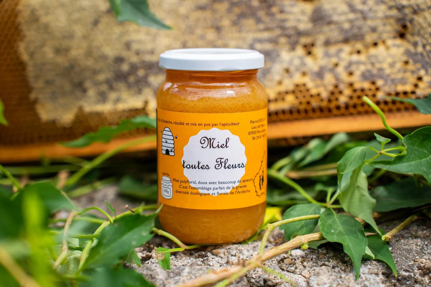 Initiez-vous à l'apiculture avec Pierre - Image n°1 - Wecandoo