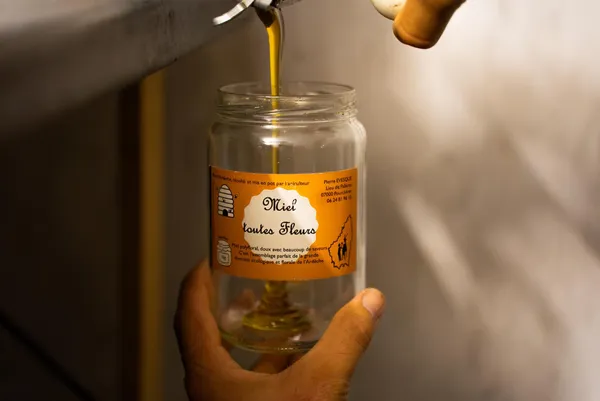 Initiez-vous à l'apiculture avec Pierre - Afbeelding nr. 5 - Wecandoo