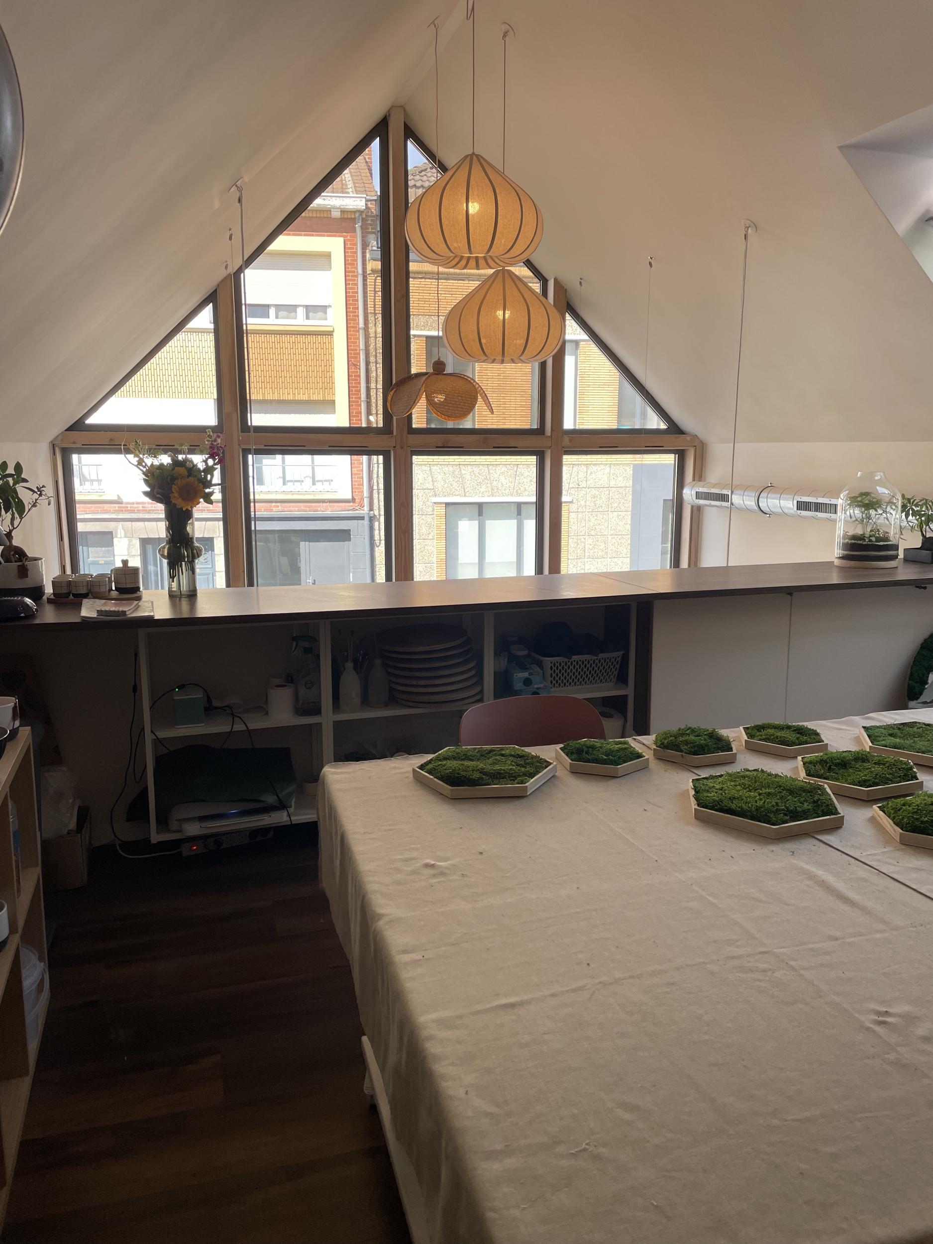 Créez et composez votre terrarium - Image n°12 - Wecandoo
