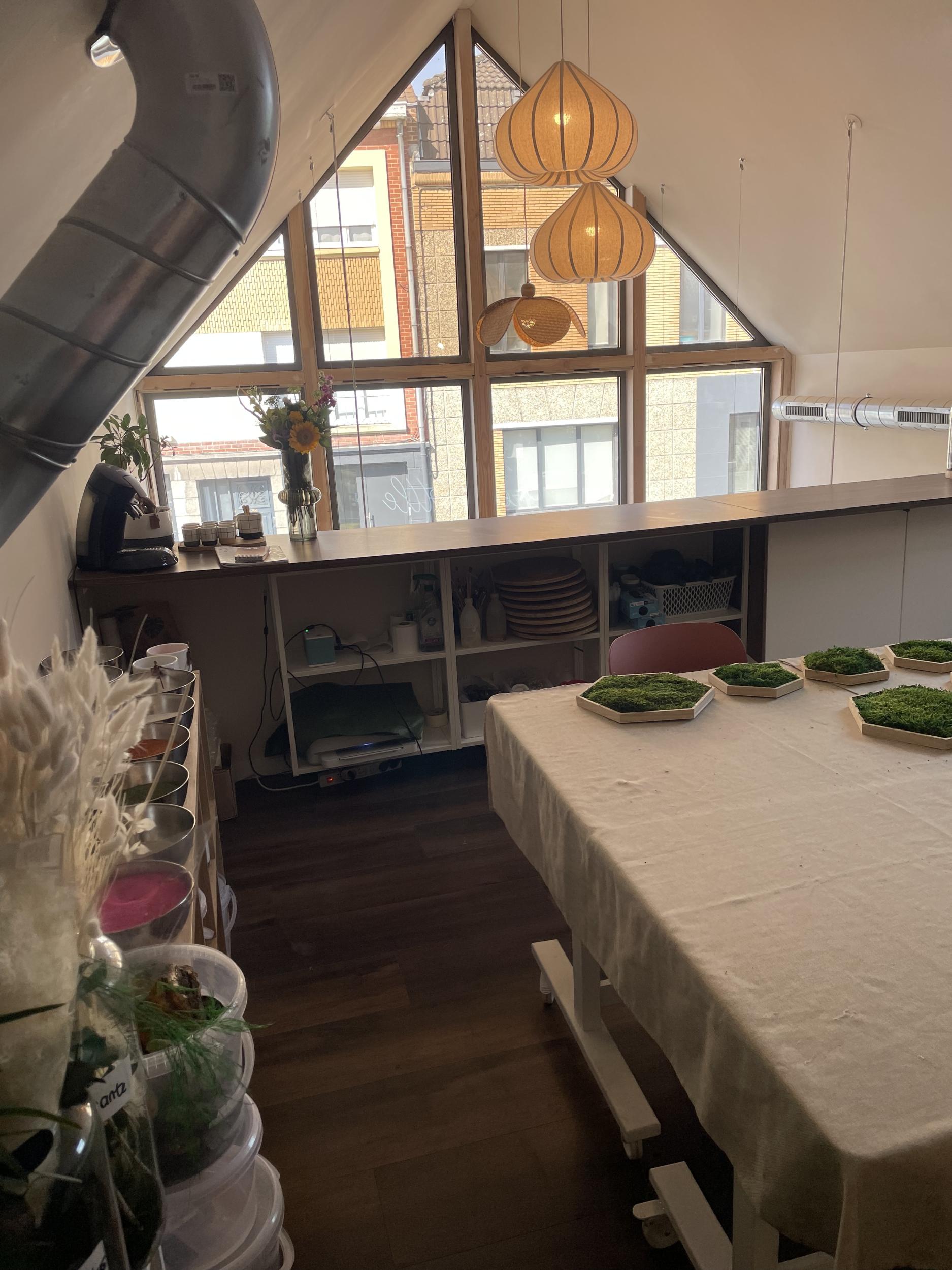 Fabrique ton terrarium - Afbeelding nr. 7 - Wecandoo