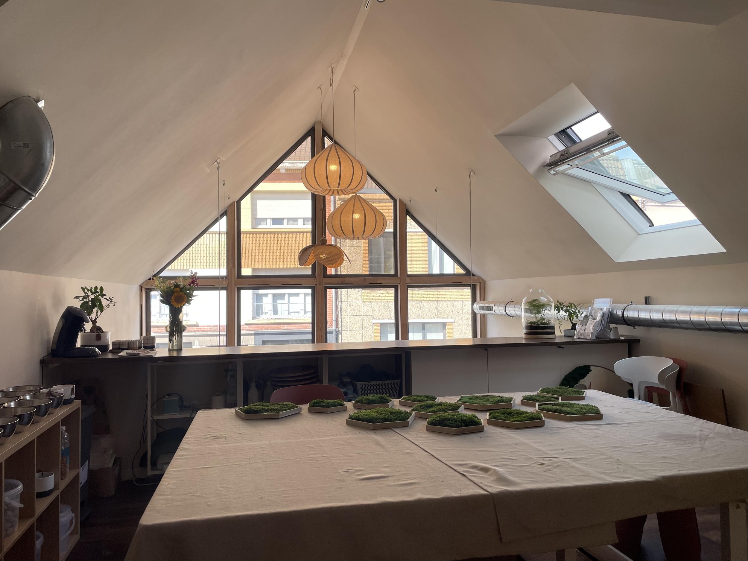 Fabrique ton terrarium - Afbeelding nr. 9 - Wecandoo