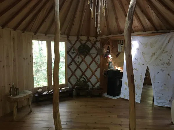 Découvrez la vannerie sauvage avec Jennifer - Image n°4 - Wecandoo