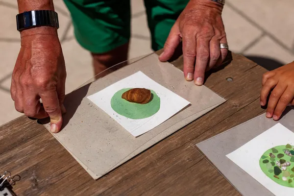 Réalise ton premier cyanotype avec Pauline - Image n°4 - Wecandoo