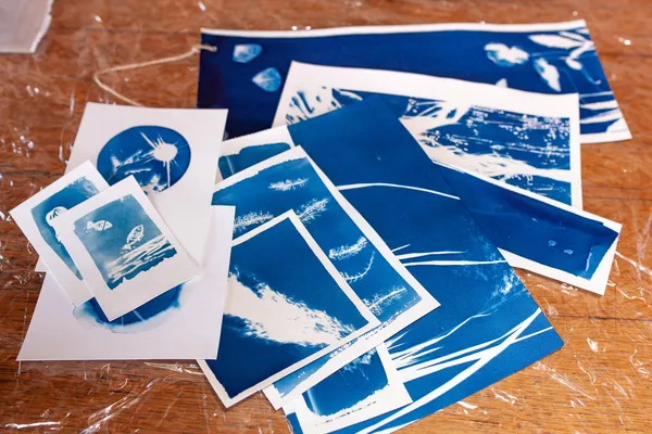 Réalise ton premier cyanotype
