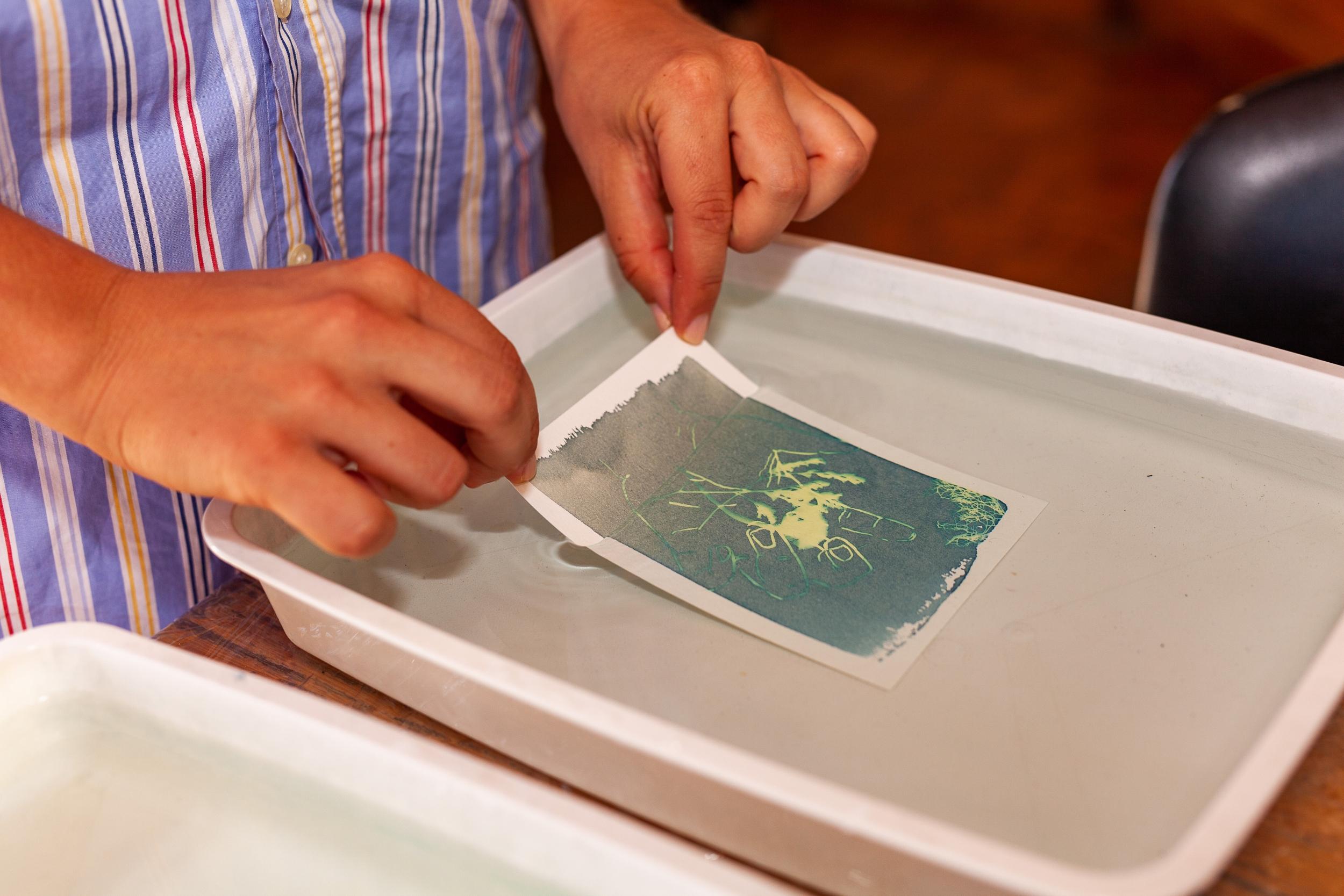 Réalisez vos cyanotypes avec Pauline - Image n°5 - Wecandoo