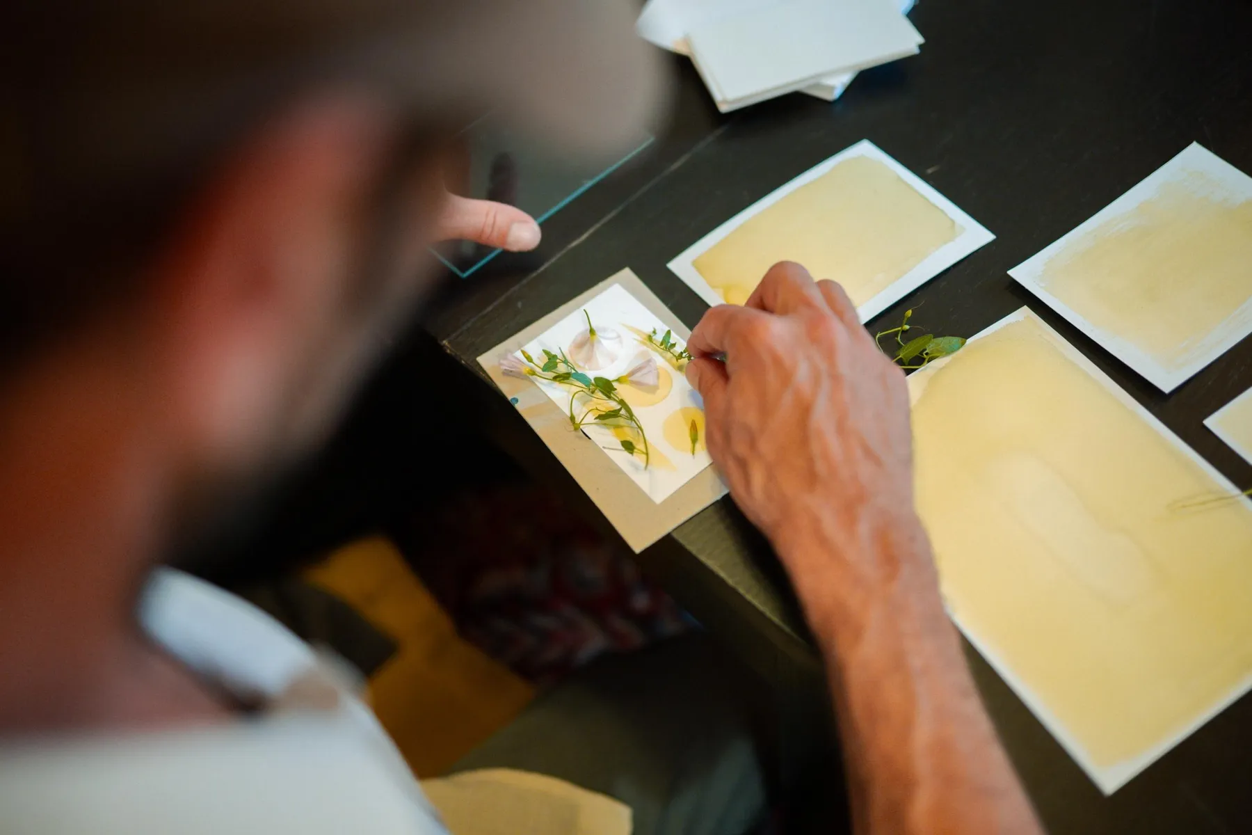 Découvrez le cyanotype avec Hélène - Image n°4 - Wecandoo