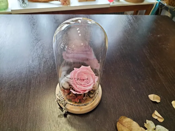 Réalisez votre cloche de fleurs séchées à Dunkerque