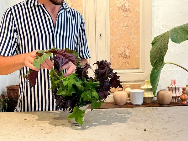 Créez votre composition florale piquée et sans mousse avec Romain et son équipe - Afbeelding nr. 4 - Wecandoo