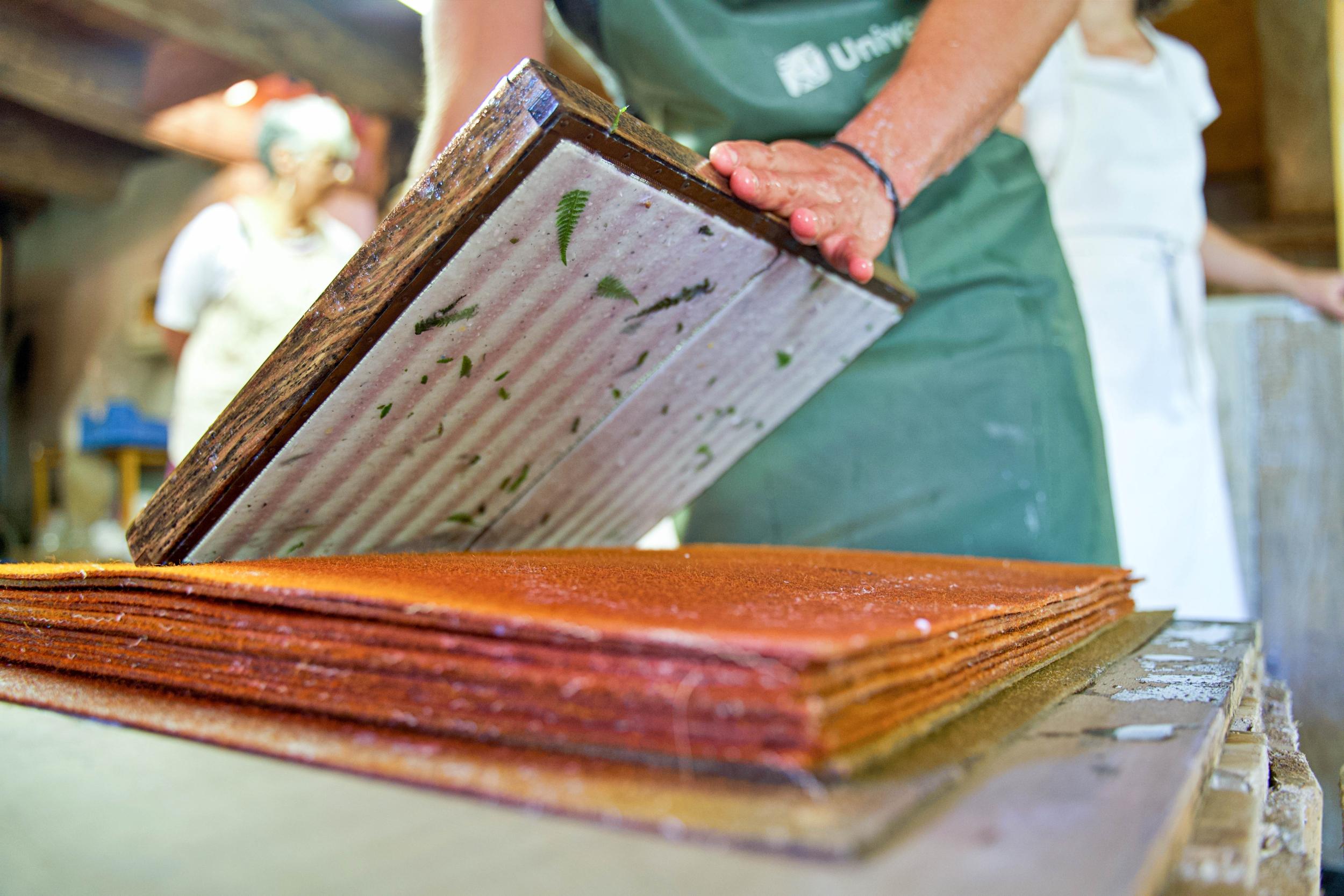 Découvrez la fabrication de papier artisanal avec Etienne - Image n°11 - Wecandoo