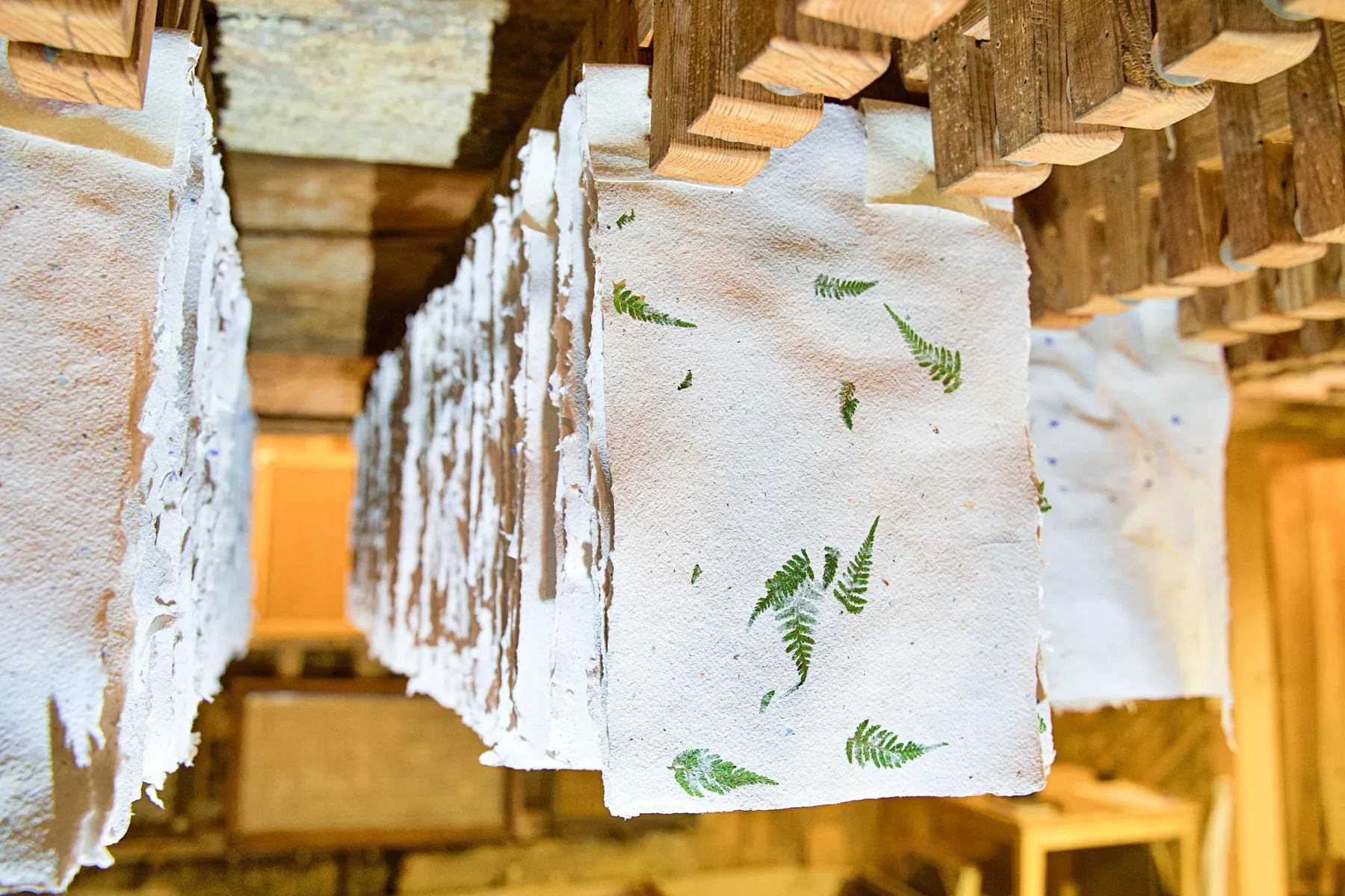 Initiez-vous à la fabrication de papier artisanal avec Etienne - Image n°4 - Wecandoo