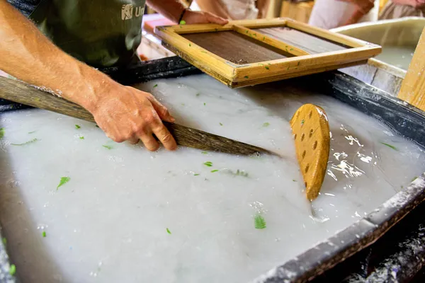 Initiez-vous à la fabrication de papier artisanal avec Etienne - Afbeelding nr. 3 - Wecandoo