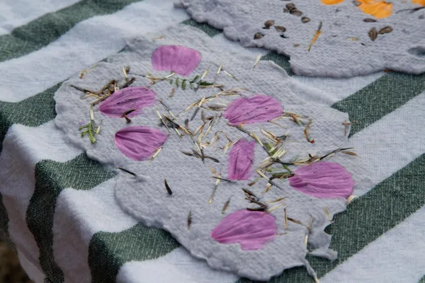 Captivez votre équipe et réalisez votre papier ensemencé dans une ferme urbaine avec Margaux - Image n°4 - Wecandoo