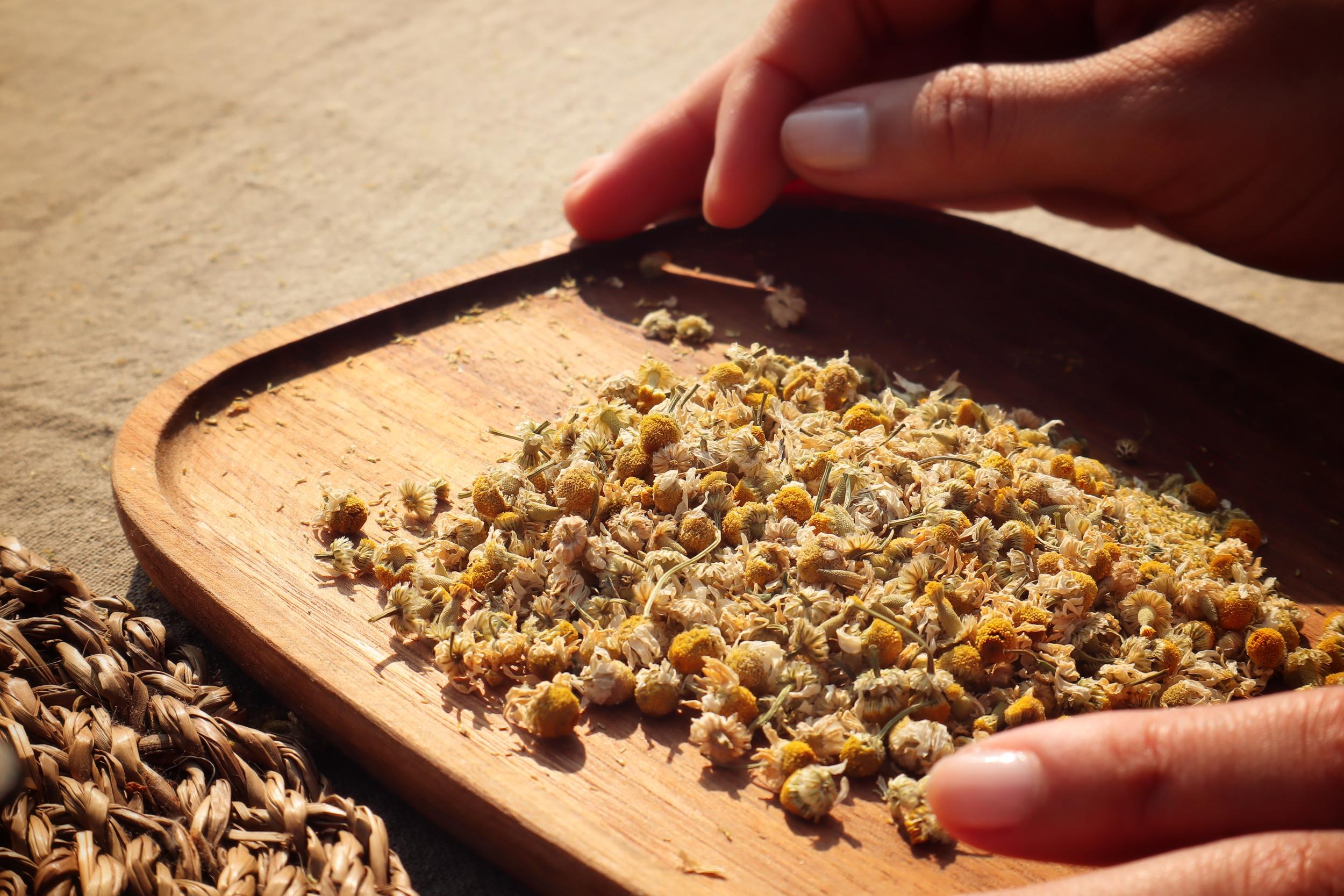 Surprenez votre équipe et composez votre tisane dans une ferme urbaine avec Margaux - Image n°5 - Wecandoo