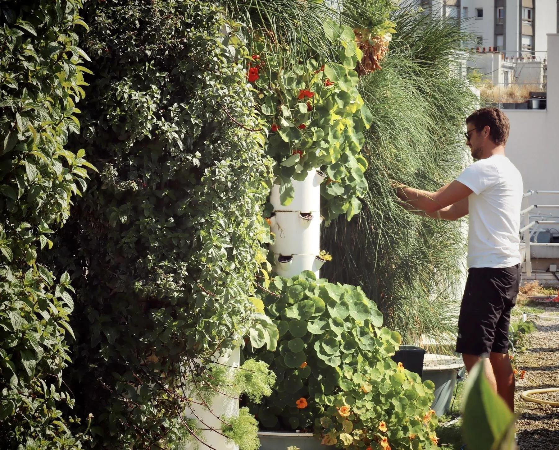 Surprenez votre équipe et composez votre tisane dans une ferme urbaine avec Margaux - Image n°2 - Wecandoo