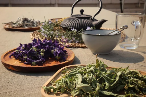 Composez votre tisane en groupe à Paris