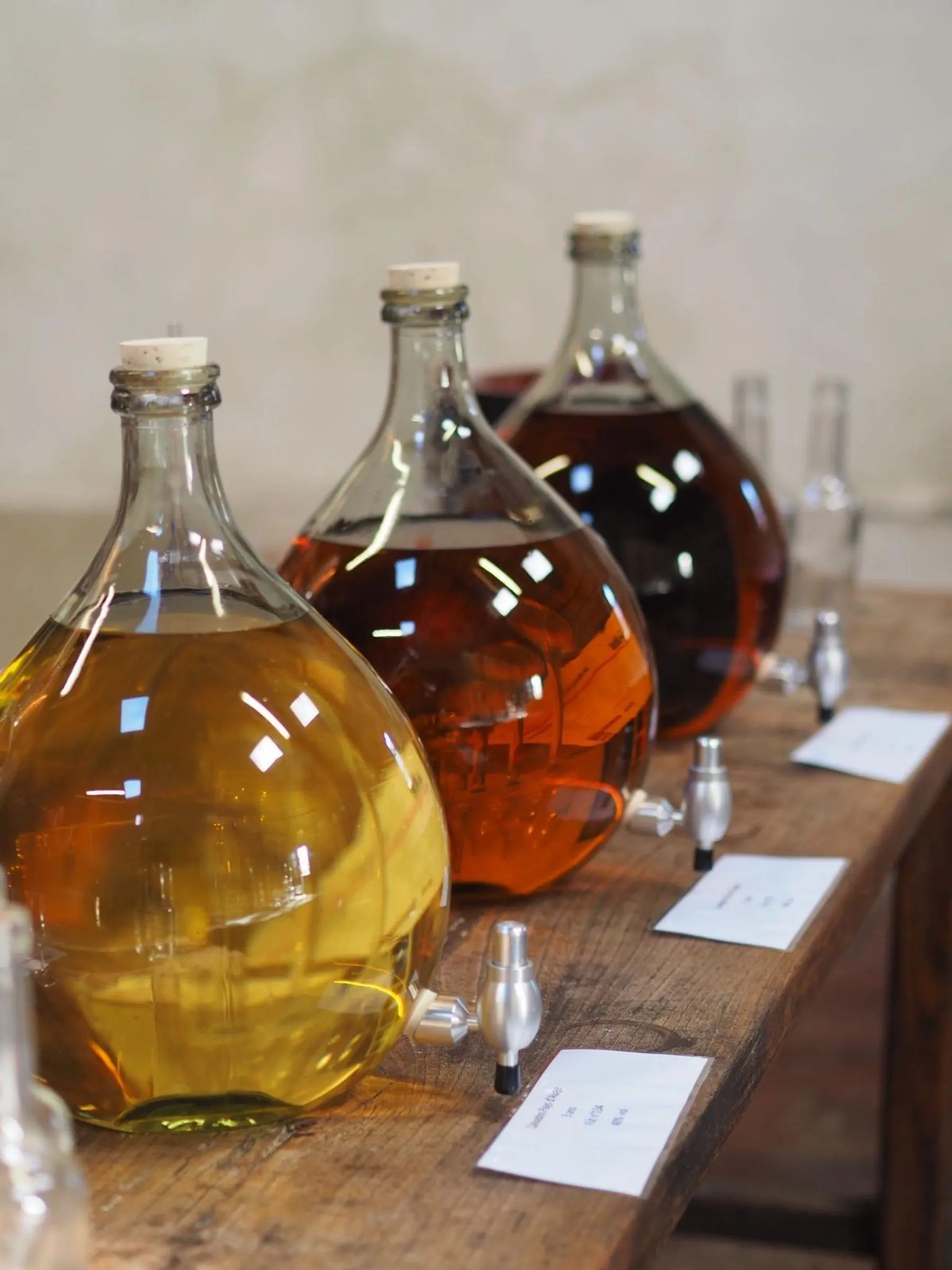 Découvrez le calvados avec Estelle - Image n°1 - Wecandoo