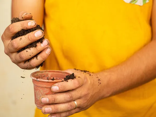Devenez maraîcher sur une journée avec Joseph, Thibault et Félix - Image n°4 - Wecandoo