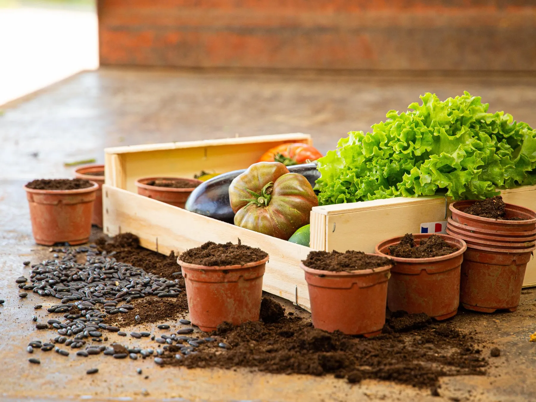 Devenez maraîcher sur une journée avec Joseph, Thibault et Félix - Afbeelding nr. 1 - Wecandoo