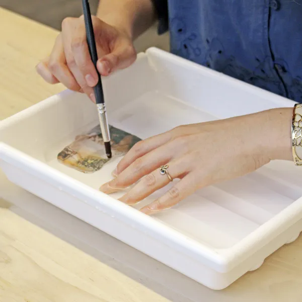 Découvrez une autre facette du Polaroid par l'émulsion lift avec Élodie - Image n°4 - Wecandoo