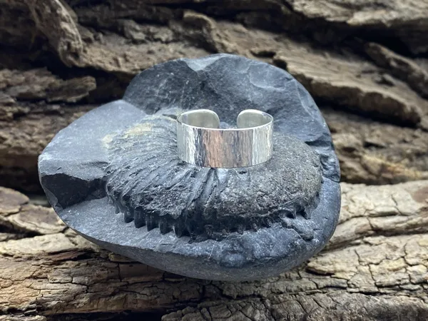 Réalisez votre bague avec Maxime - Image n°5 - Wecandoo