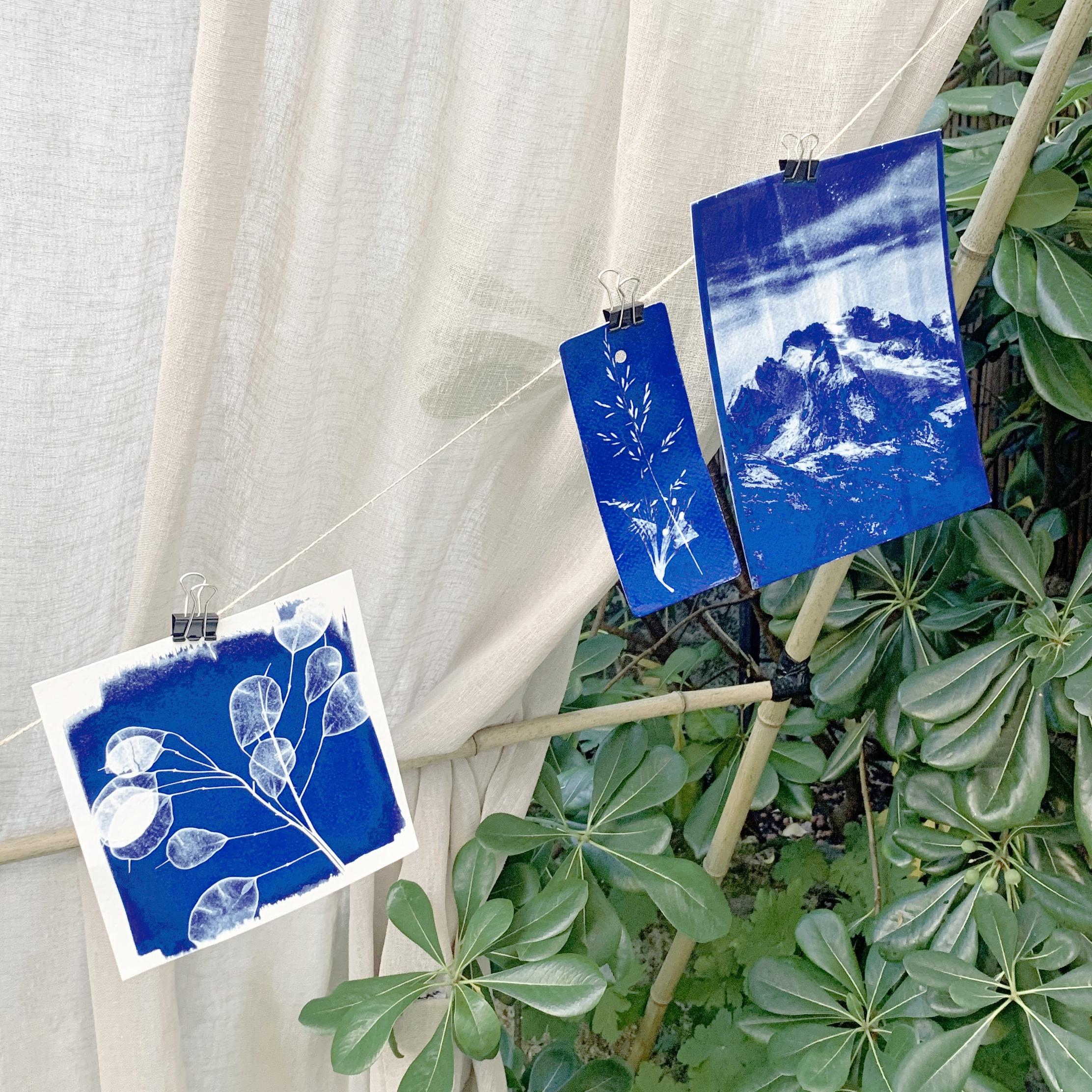 Réalisez vos tirages en cyanotype avec Élodie - Image n°5 - Wecandoo