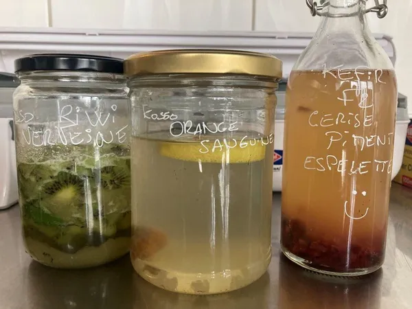 Apprenez à faire vos délicieux sodas et sirops fermentés et low tech avec Candice - Image n°4 - Wecandoo
