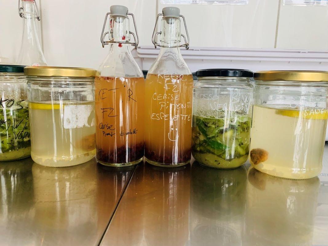 Apprenez à faire vos délicieux sodas et sirops fermentés et low tech avec Candice - Image n°2 - Wecandoo