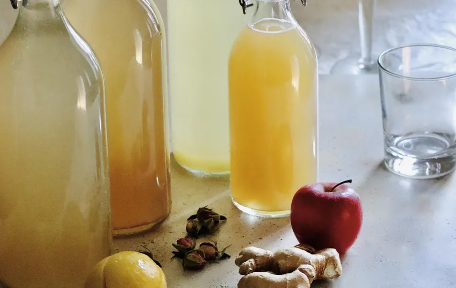Apprenez à faire vos délicieux sodas et sirops fermentés et low tech avec Candice - Image n°1 - Wecandoo