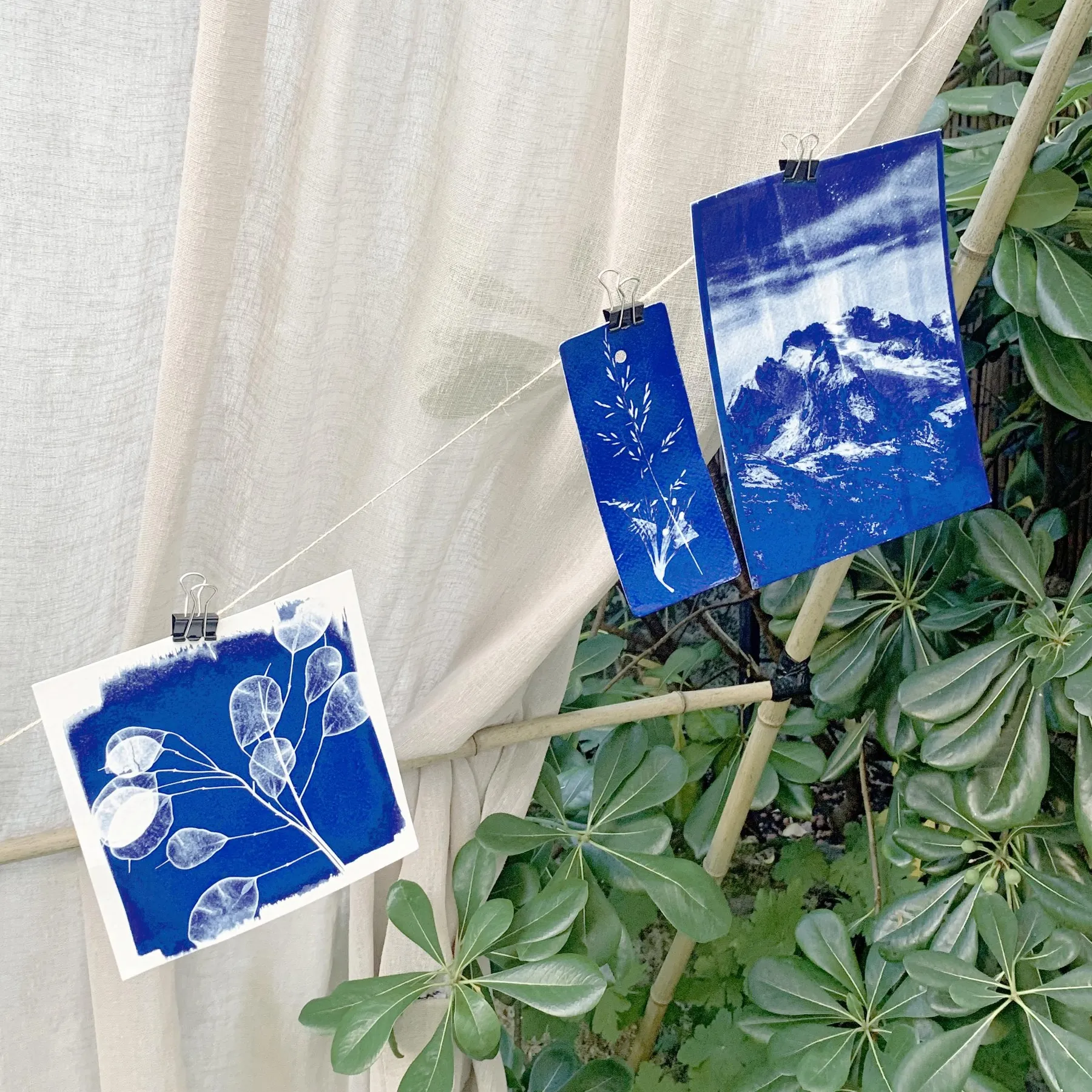 Réalisez vos tirages en cyanotype - Image n°5 - Wecandoo