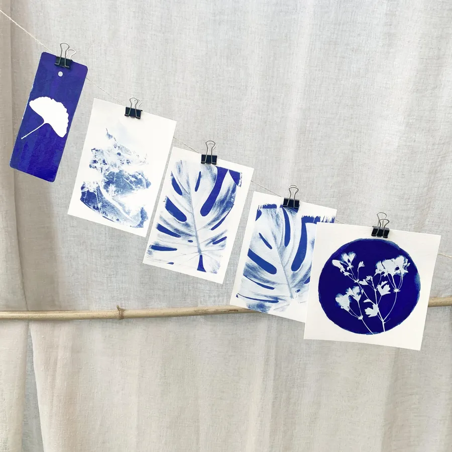Réalisez vos tirages en cyanotype - Afbeelding nr. 1 - Wecandoo