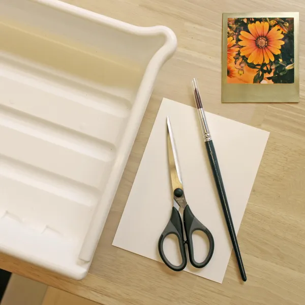 Découvrez une autre facette du Polaroid avec l’emulsion lift - Image n°2 - Wecandoo