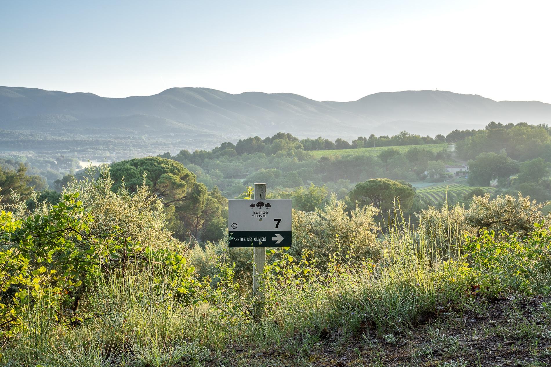 Visitez un moulin à huile d'olive avec Léo et l'équipe de la Bastide - Image n°6 - Wecandoo