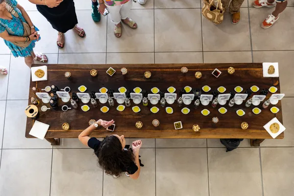 Visitez un moulin à huile d'olive avec Léo et l'équipe de la Bastide - Image n°5 - Wecandoo