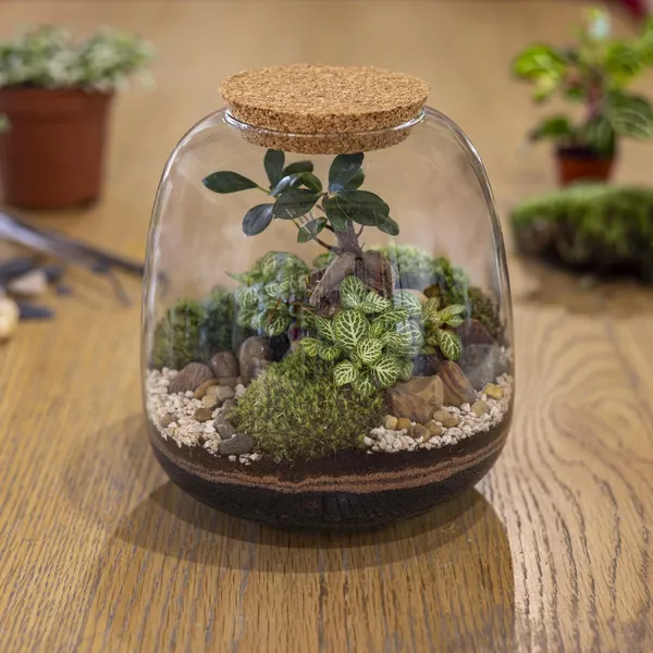 Atelier : 7 Passage Des Citernes